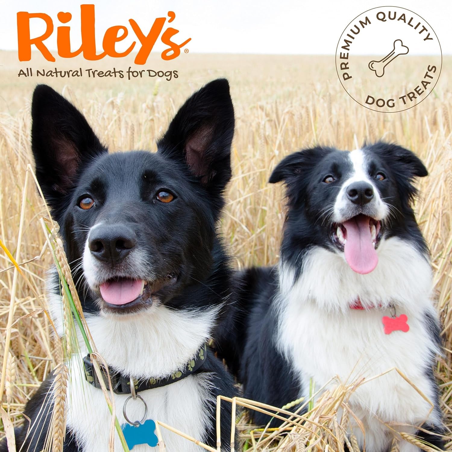 rileys-pill-wrap-for-dogs-cheese-bacon-pill-paste-for-dogs-4-2oz-wrap-capsules-tablets-in-a-tasty-pocket-or-pouch-to-mask-the-taste-flavored-treat-paste-for-easy-medication-time