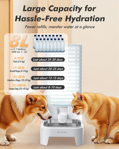 Automatic Dog Water Bowl Dispenser with Patented Faucet - 8L Large Gravity Cat Water Dispenser with Filter & Adjustable Base, Wide Mouth for Easy Clean, Bpa-Free, Stainless Steel Pet Waterer for Pets2