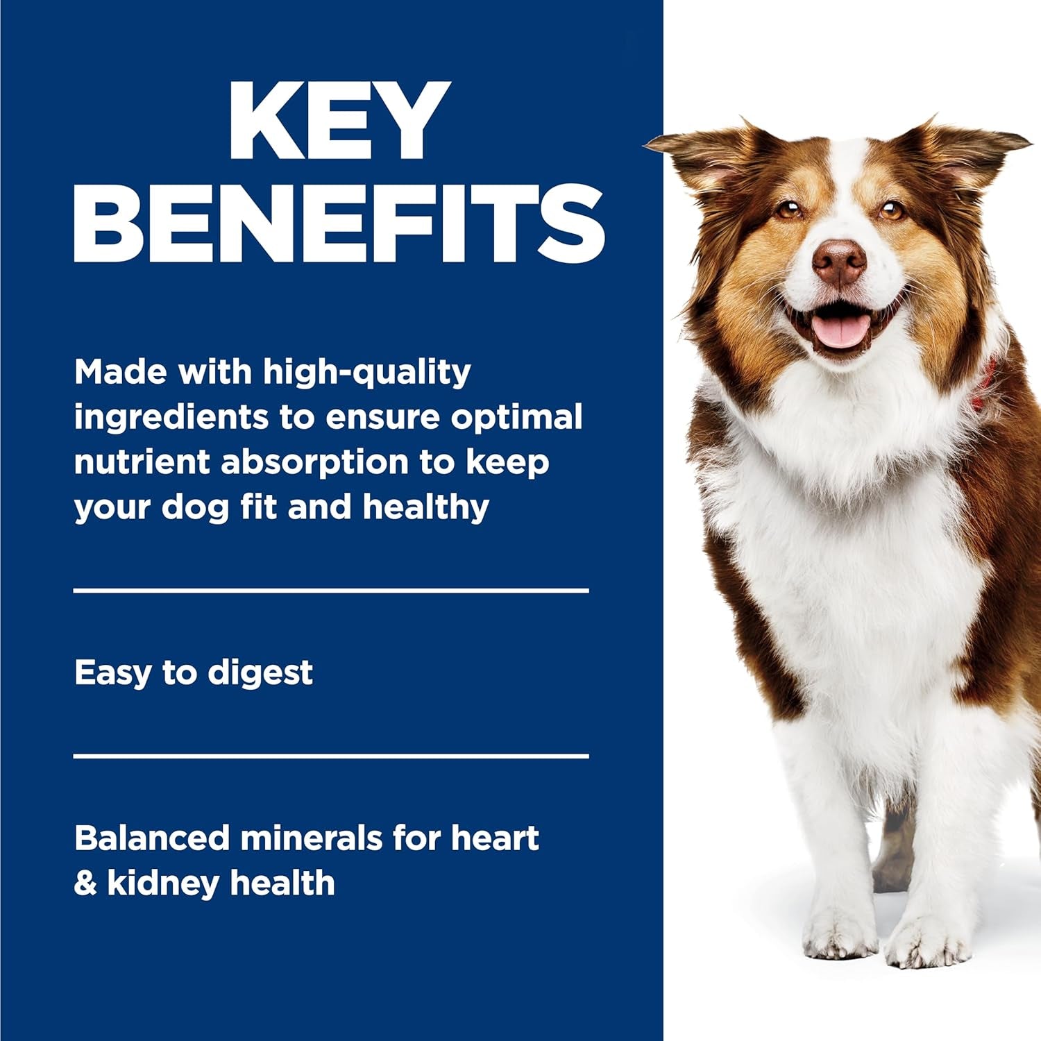 hills-science-diet-adult-7-wet-dog-food-1-veterinarian-recommended-beef-vegetables-12-8-oz-cans-12-pack