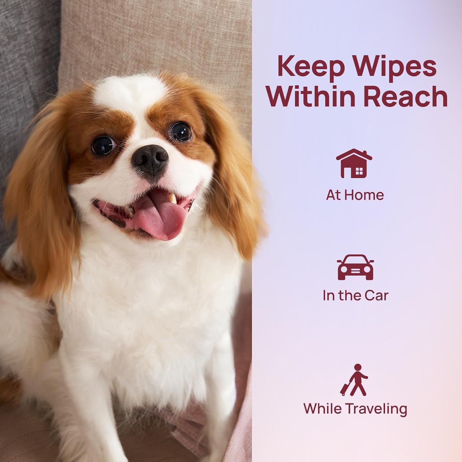 hicc-pet-pet-cleaning-wipes-for-dogs-cats-paws-coat-100-count-pearl-textured-with-fermented-coconut-oil-and-damask-rose-for-face-and-rear-end-cleaning-after-walks-or-between-baths