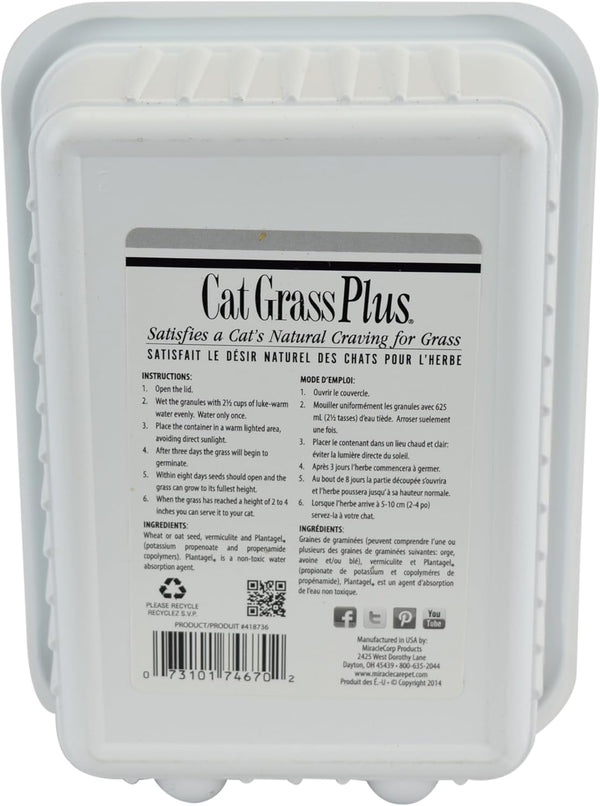 Miracle Care Cat A'Bout Cat Grass Kit, 5.25 Ounce | Easy to Grow Seeds + Planter for Indoor Cats, Natural Fiber Aids Digestion, Reduces Hairballs, Freshens Breath, Quick Growing6
