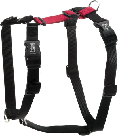 Blue-9 Buckle-Neck Balance Harness, Fully Customizable Fit No-Pull Harness, Ideal for Dog Training and Obedience, Made in the USA, Sky Blue, Medium9