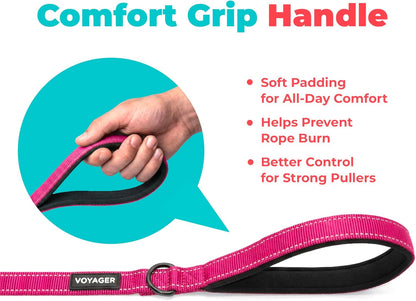 Best Pet Supplies Voyager Nylon Dog Leash - Fuchsia, Small | 5Ft in Length, 5/8" in Width, Reflective, Soft Neoprene Handle, Heavy Duty Metal Clips for Running, Walking & Training5