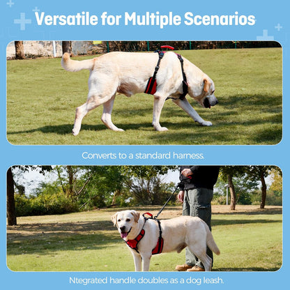 Dog Lifting Harness for Medium Dogs, Dual Handle Dog Support Harness for Daily Walking Assistance, Male Dog-Friendly, Breathable & Easy on Mobility Aid, Red, M6