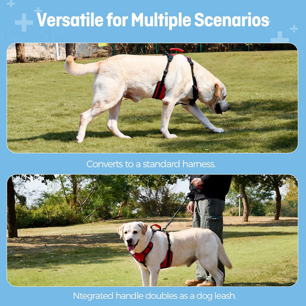 Dog Lifting Harness for Medium Dogs, Dual Handle Dog Support Harness for Daily Walking Assistance, Male Dog-Friendly, Breathable & Easy on Mobility Aid, Red, M6