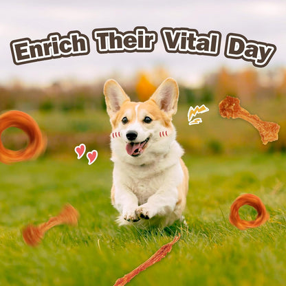 VITADAY Turkey Tendons for Dogs, All Natural, Healthy Dog Treats, Long Lasting, Hypoallergenic Dog Chews, Rawhide Free, Usa-Sourced, for Small Dogs, Strips, 3 Oz Pack | Long-Lasting Dog Training Treats, Rawhide-Free Made of Usa-Sourced Turkey6