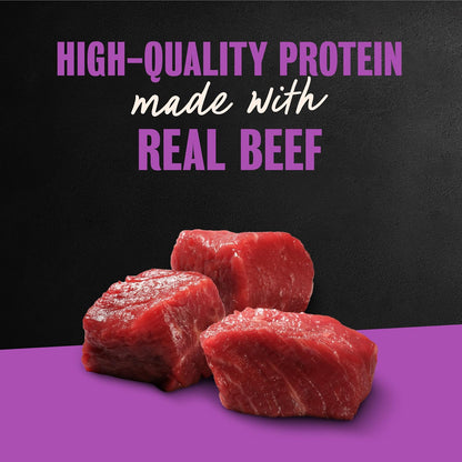 Cesar Filets in Gravy Wet Dog Food, Filet Mignon Flavor, 3.5 Oz, 24 Count | Real Beef, Easy to Digest, No Fillers, No Added Sugar, No Artificial Flavors, Slow-Cooked Tender Texture, Easy Peel Trays4