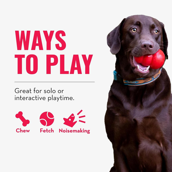 KONG Wubba Tug of War and Fetch Dog Toy, for XL Dogs | Indoor & Outdoor Toy for Puppy & Dog Playtime, Great for Tug of War & Fetch, Color Randomly Provided5