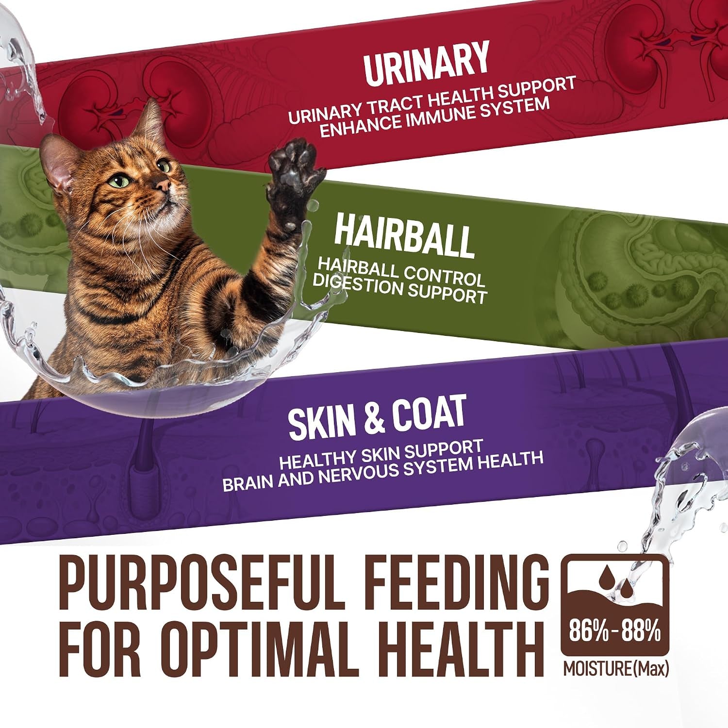 petphabet-lickable-cat-treats-spoon-3-flavors-variety-pack-36-count-creamy-puree-kitten-treat-functional-wet-paste-skin-coat-support-hairball-relief-urinary-health-grain-free-with-taurine