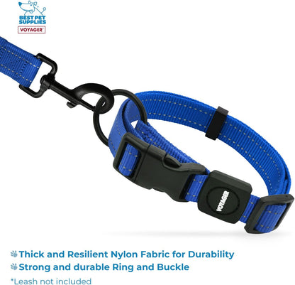 Best Pet Supplies Voyager Reflective Dog Leash or Collar with Neoprene Handle, for Small, Medium, and Large Breed Puppies, Cute and Heavy Duty for Walking, Running and Training - Royal Blue, S3