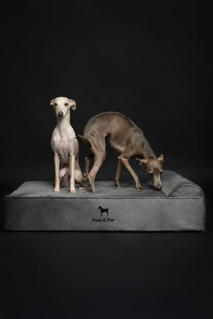 NOAH & PAW Large Dog Bed, 35X25X8.7 Inch, Orthopedic Dog Beds, Eggshell Memory Foam Infused with Cooling Gel, Water Resistant, Machine Washable, Includes Inner Cover (Velvet Collection)8
