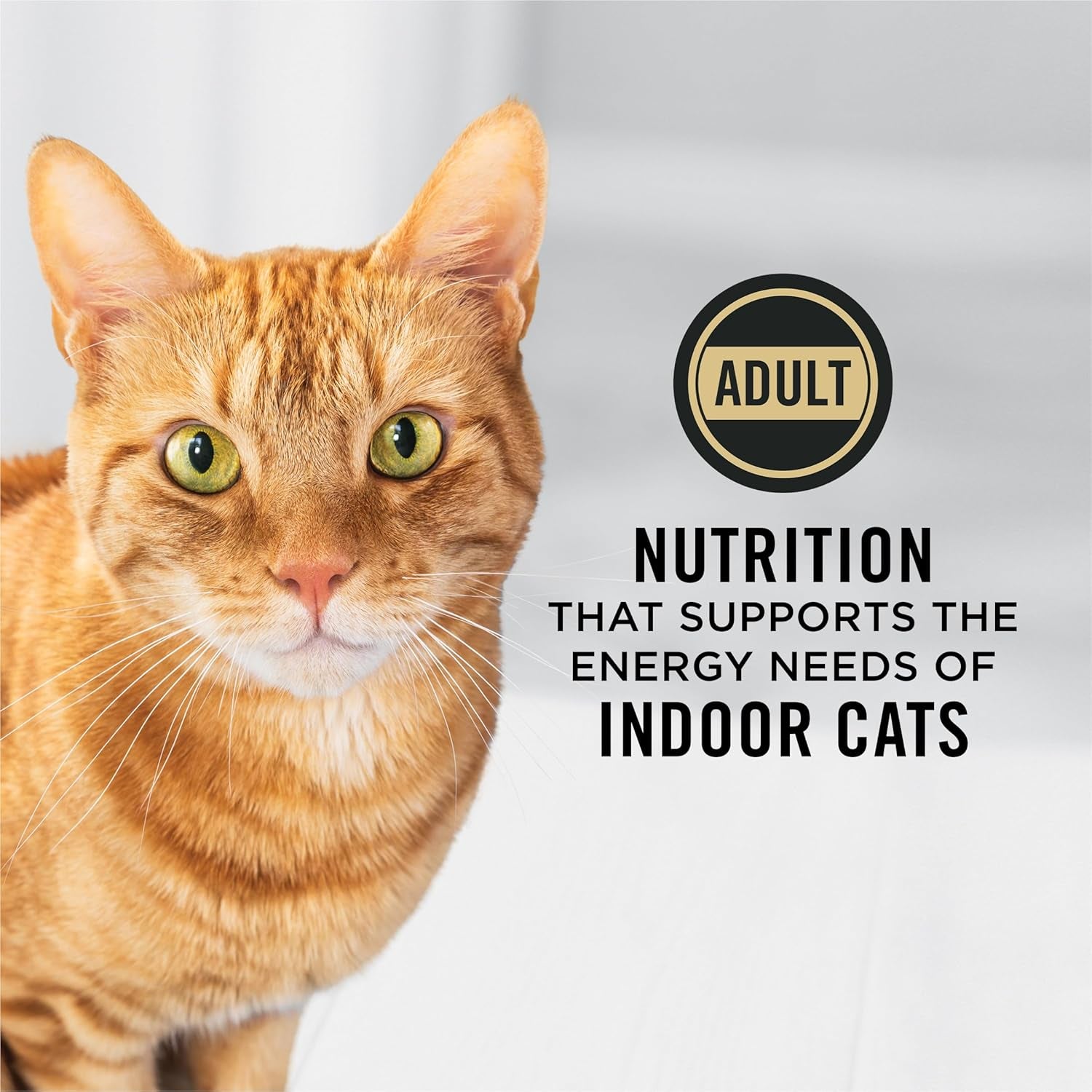 purina-pro-plan-hairball-management-indoor-cat-food-salmon-and-rice-formula-7-lb-bag