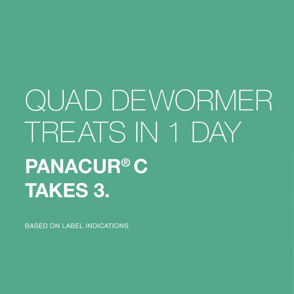 Elanco Chewable Quad Dewormer for Small Dogs, 2-25 Lbs, 4 Chewable Tablets, White6
