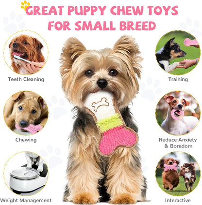 BAEJMJK 6 Pack Puppy Teething Toys Pink Small Breed Dog Chew Toys with Rope Cute Soft Rubber Puppy Toys Set for Cleaning Teeth Interactive Pet Doggy Bone Toys6