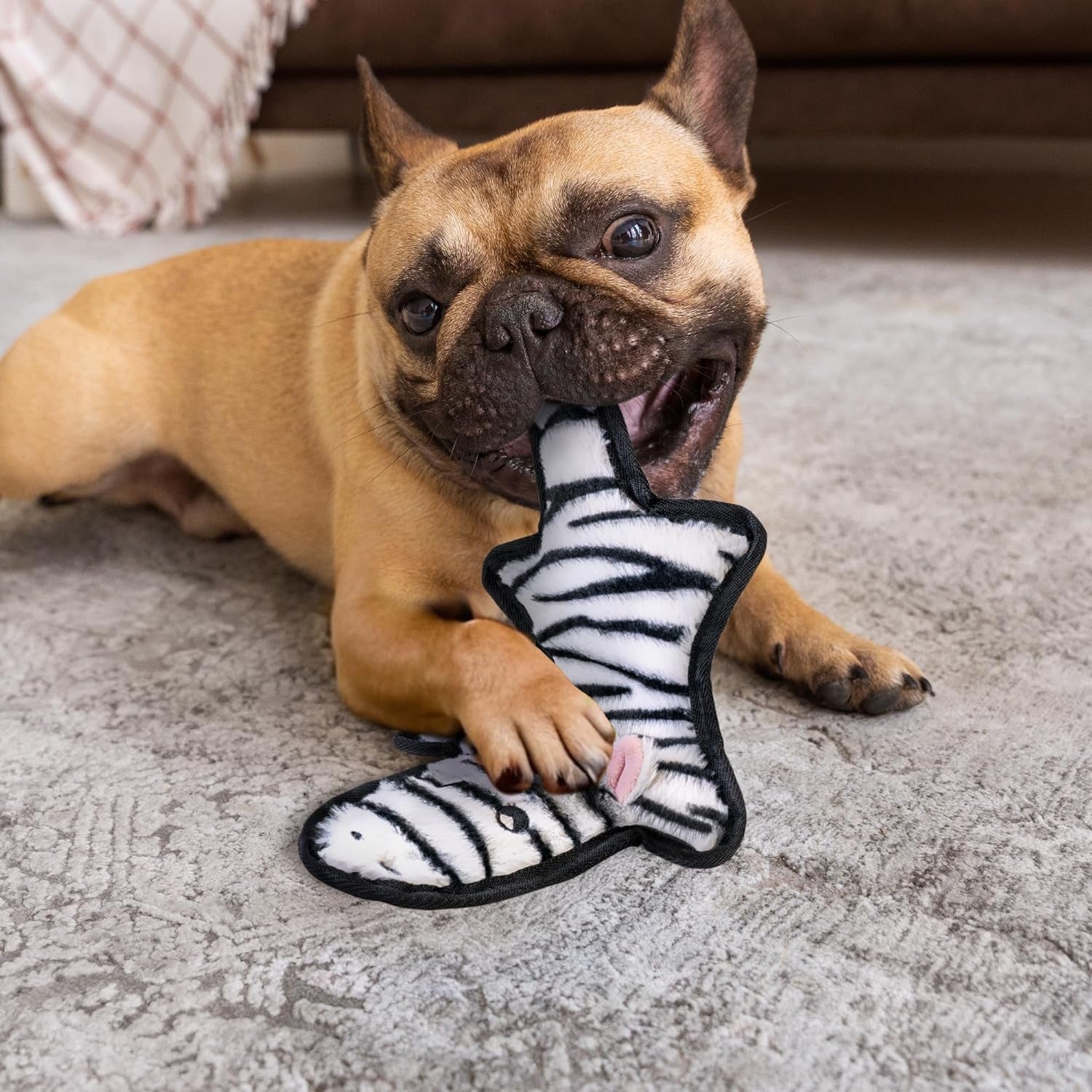 sharlovy-no-stuffing-dog-toys-crinkle-squeaky-long-lasting-chews-for-aggressive-durable-plush-dog-puppy-chew-toys-for-teething-with-6-tough-layers-for-small-medium-large-breed-5pack-large