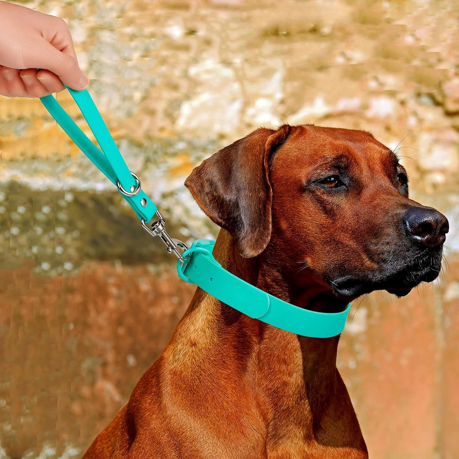 short-dog-leash-9-inch-dogs-lead-grab-tab-heavy-duty-waterproof-pvc-dog-training-traffic-leashes-for-safety-control-behavior-correction-hiking-backup-all-breeds-black-9