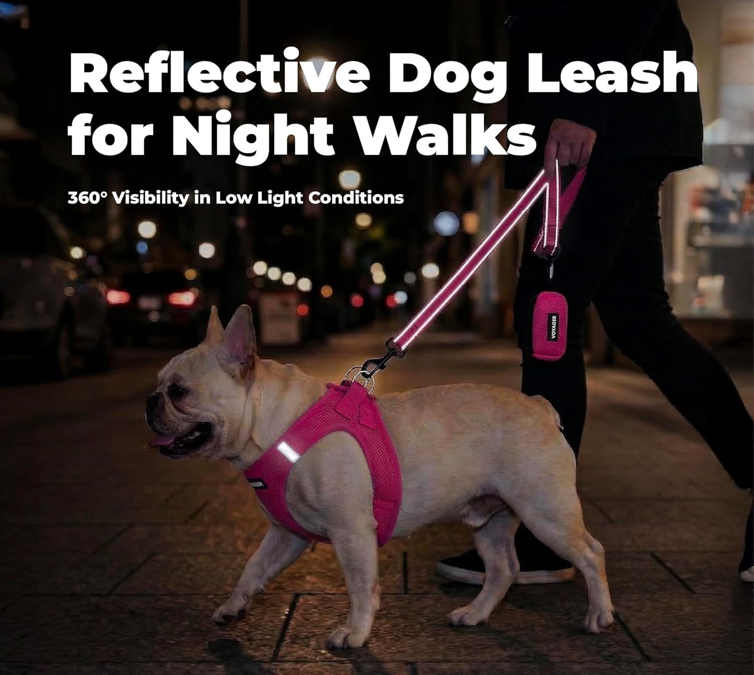 best-pet-supplies-voyager-nylon-dog-leash-fuchsia-small-5ft-in-length-5-8-in-width-reflective-soft-neoprene-handle-heavy-duty-metal-clips-for-running-walking-training