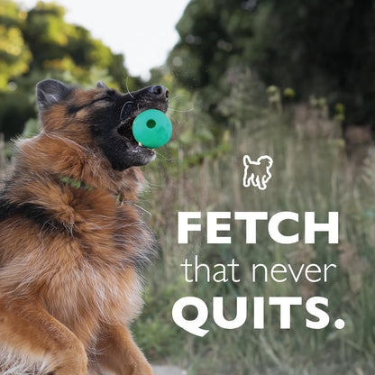 Chew King Fetch Balls Extremely Durable Natural Rubber Toy Pack of 3 - 3 Inch Balls (CM-0263-CS01)7