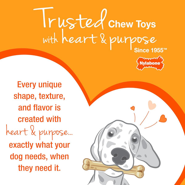 Nylabone Original Bone Power Chew Toys for Dogs, Durable & Tough Dog Toys for Aggressive Chewers, Long Lasting Chicken, Bacon, and Peanut Butter Flavor, Small - up to 25 Lbs, 1 Count | Peanut Butter, Chicken, and Bacon Flavor, Durable Dog Toys for Aggressive Chewers, Helps Clean Teeth, for Dogs up to 25 Lbs13