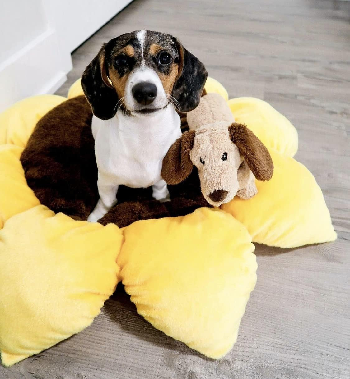tonbo-soft-plush-small-cute-and-cozy-nature-dog-cat-bed-washer-and-dryer-friendly-sunflower