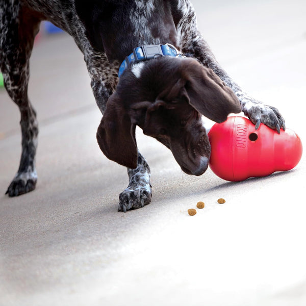KONG Wobbler - Interactive Dog Toy for Treat Dispensing - Dog Slow Feeder for Healthy Eating - for Medium/Large Dogs2