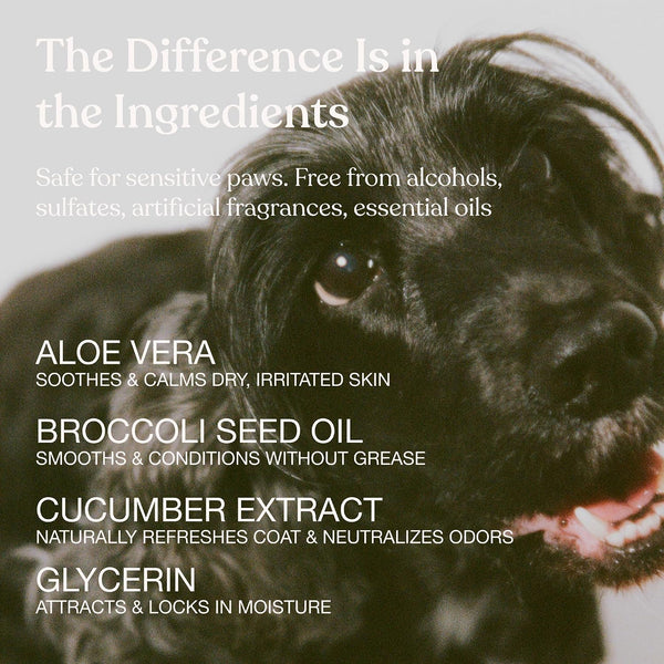 Dog Shampoo, Soothe Gentle Cleansing, Hydrating, Sensitive Skin, 16 Fl Oz | Dandylion Pet Shampoo, Fragrance Free, Ph Balanced, Plant Derived Formula for Dry Coats and All Coat Types, Dog Bath Supplies4
