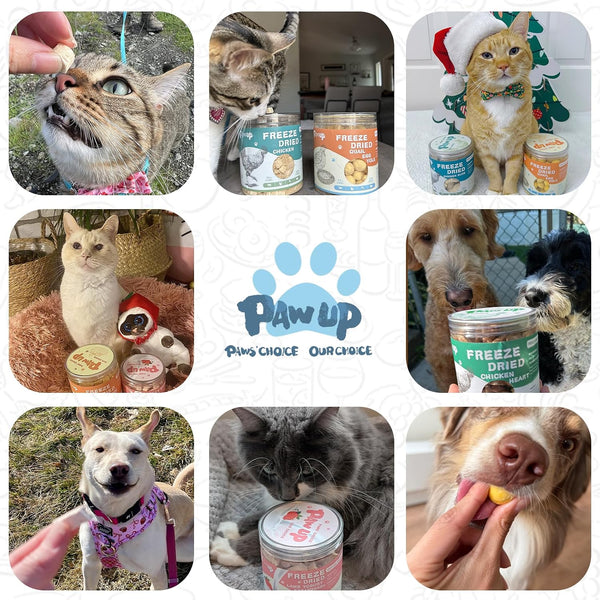 PAWUP Freeze Dried Dog Treats, Goat Milk Yogurt Flavor, 2.8 Oz | Gentle Goat Milk Dog Snacks, for Sensitive Stomachs, for Puppies7