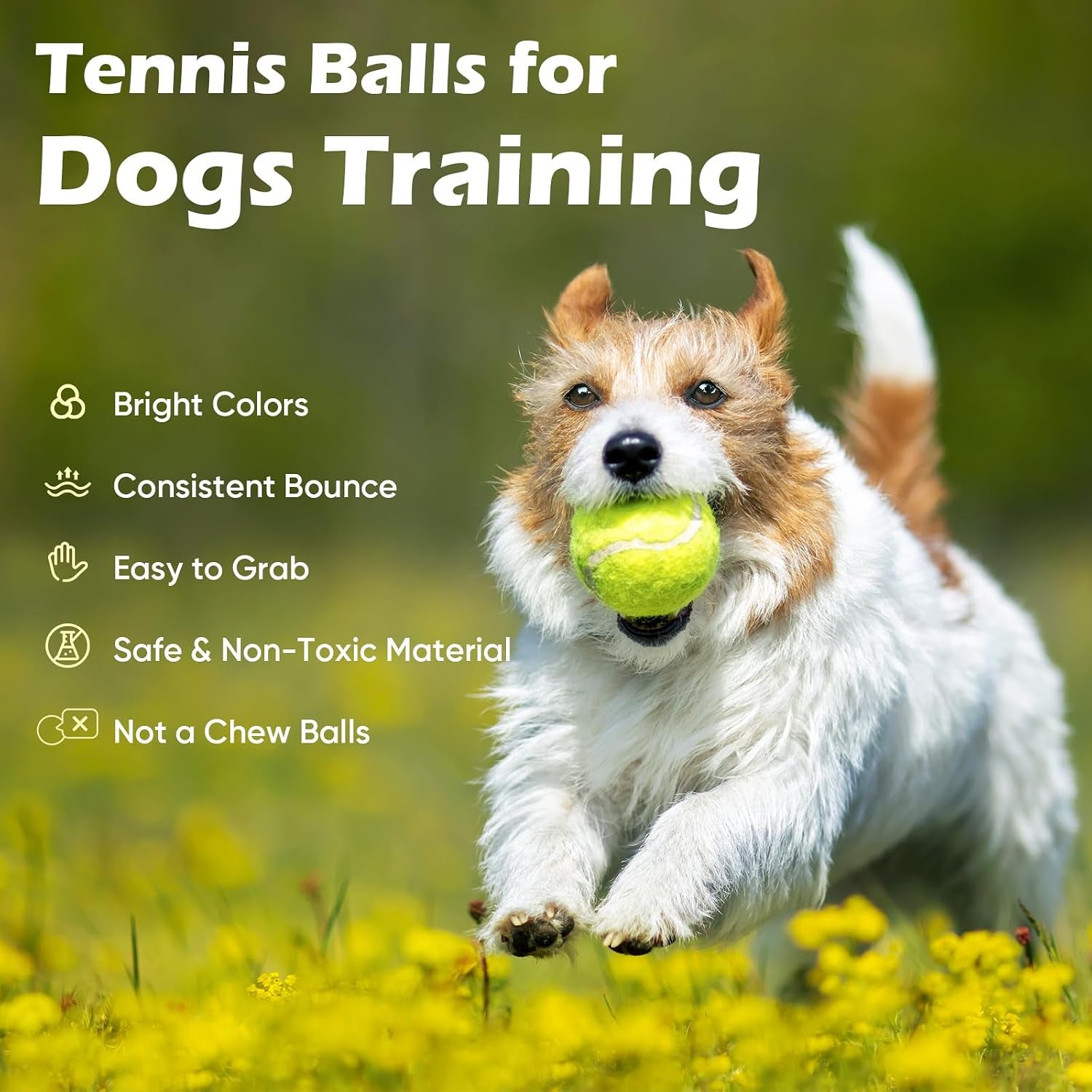 treeroot-16-30-40-60-80-pcs-tennis-balls-high-elasticity-tennis-balls-bulk-comes-with-a-portable-mesh-bag-tennis-ball-for-dogs-suitable-for-beginner-training-ball-durable-bounce