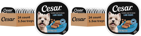 Cesar Classic Loaf in Sauce Wet Dog Food, Filet Mignon, 3.5 Oz, 24 Count | Made in USA, Real Beef #1 Ingredient, No Fillers/Added Sugar/Artificial Flavors, Use as Meal or Topper, Easy Peel Trays20