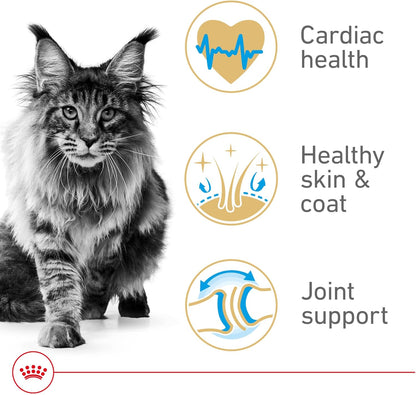 ROYAL CANIN Feline Breed Nutrition Maine Coon Adult Dry Cat Food, 6 Lb Bag3