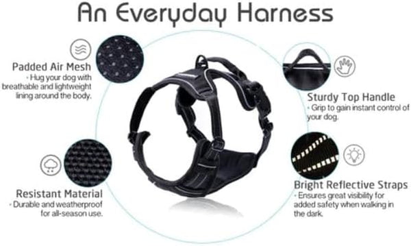Rabbitgoo Dog Harness, No Pull for Large Dogs with 2 Leash Clips, Pet Vest | No Choke with Handle, Adjustable Soft Padded, Reflective, Easy Control for Walking, Black, Large9