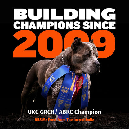 Bully Max Dry Dog Food for Adults & Puppies - High Protein & Fat for Muscle & Weight Gain - High Performance Dog Food Supplements - Small & Large Breed Dogs (535 Calories per Cup), Chicken, 15Lb Bag9
