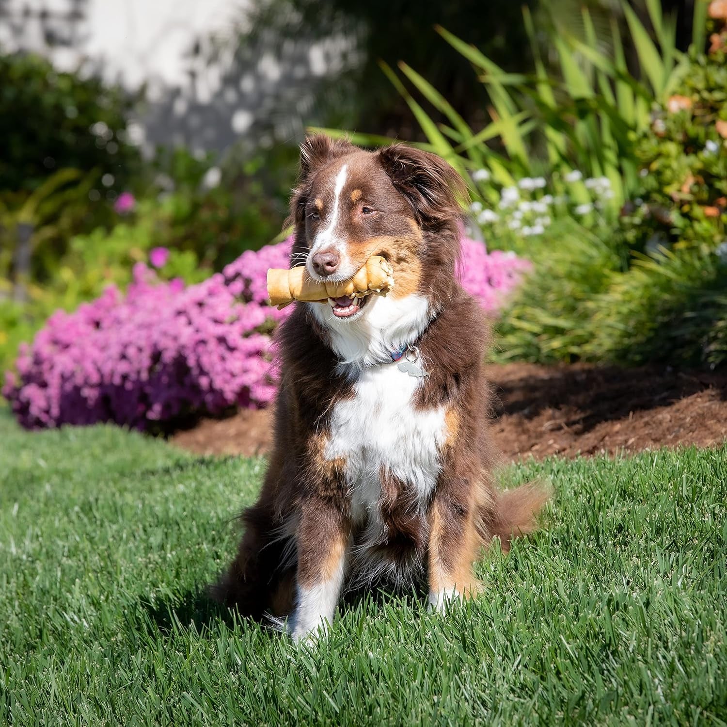 wild-eats-water-buffalo-retriever-style-cheek-rolls-dog-chews-pack-of-5-long-lasting-treats-and-bones-for-aggressive-gnawing-and-large-sized-breeds-works-as-a-satisfying-substitute-for-pig-ears