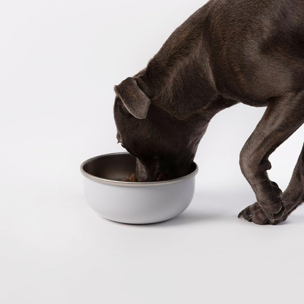 diggs-crate-bowl-for-dogs-clip-on-pet-bowl-for-water-food-puppy-training-necessities-spill-resistant-universal-dog-crate-accessories-38oz