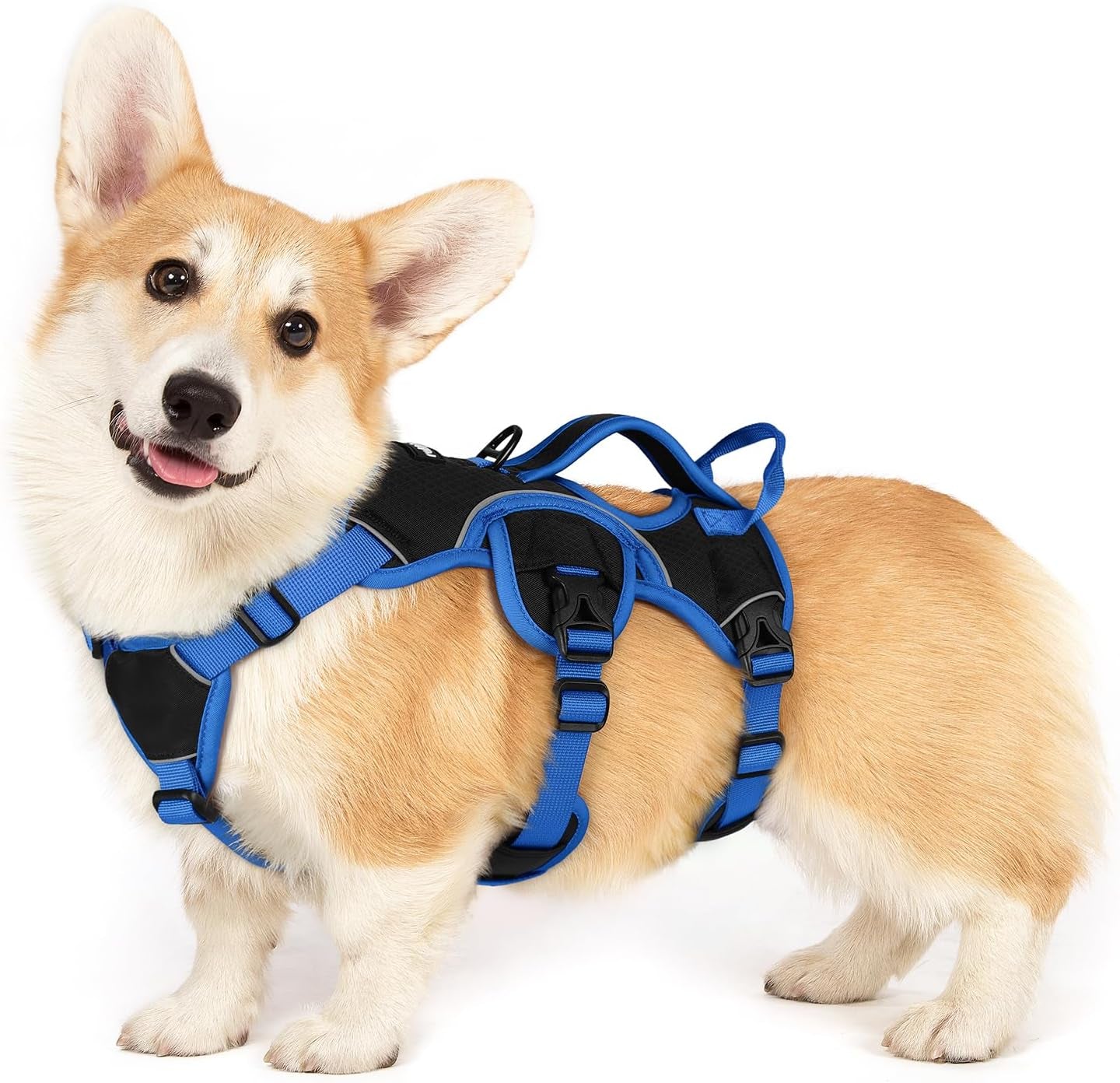 rabbitgoo-escape-proof-dog-harness-for-large-no-pull-with-lift-handle-no-escape-full-soft-padded-reflective-adjustable-vest-leash-clip-for-walking-hiking-training-black-large