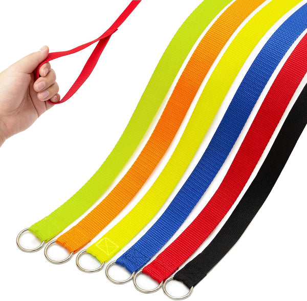 Slip Lead Dog Leash, 6 Pcs Short Pet Leashes Slip Leads for Dogs Cats Grooming Shelter Rescues Walking Training,Etc., 6 FT Strong Pulling Dog Leash with O-Ring1