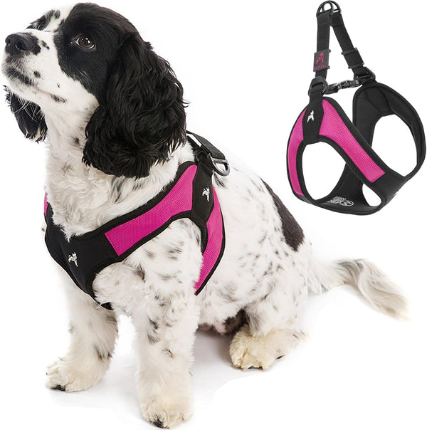 Gooby - Escape Free Easy Fit Harness, Small Dog Step-In Harness for Dogs That like to Escape Their Harness, Turquoise, Small11