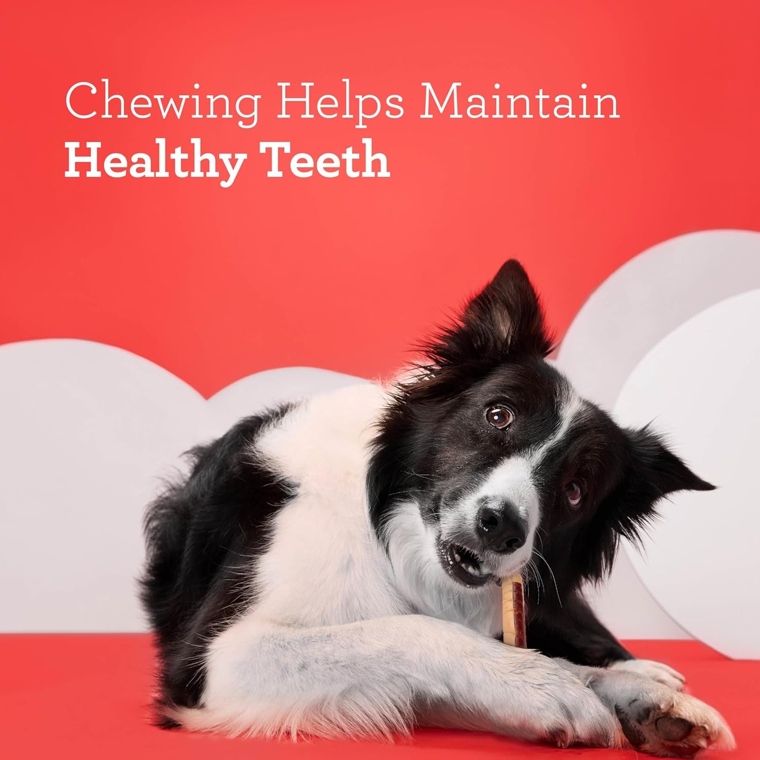 dreambone-chicken-wrapped-mini-stick-dog-treats-daily-rawhide-free-chew-digests-safely-and-completely-with-real-protein-chicken-and-veggies-15-count
