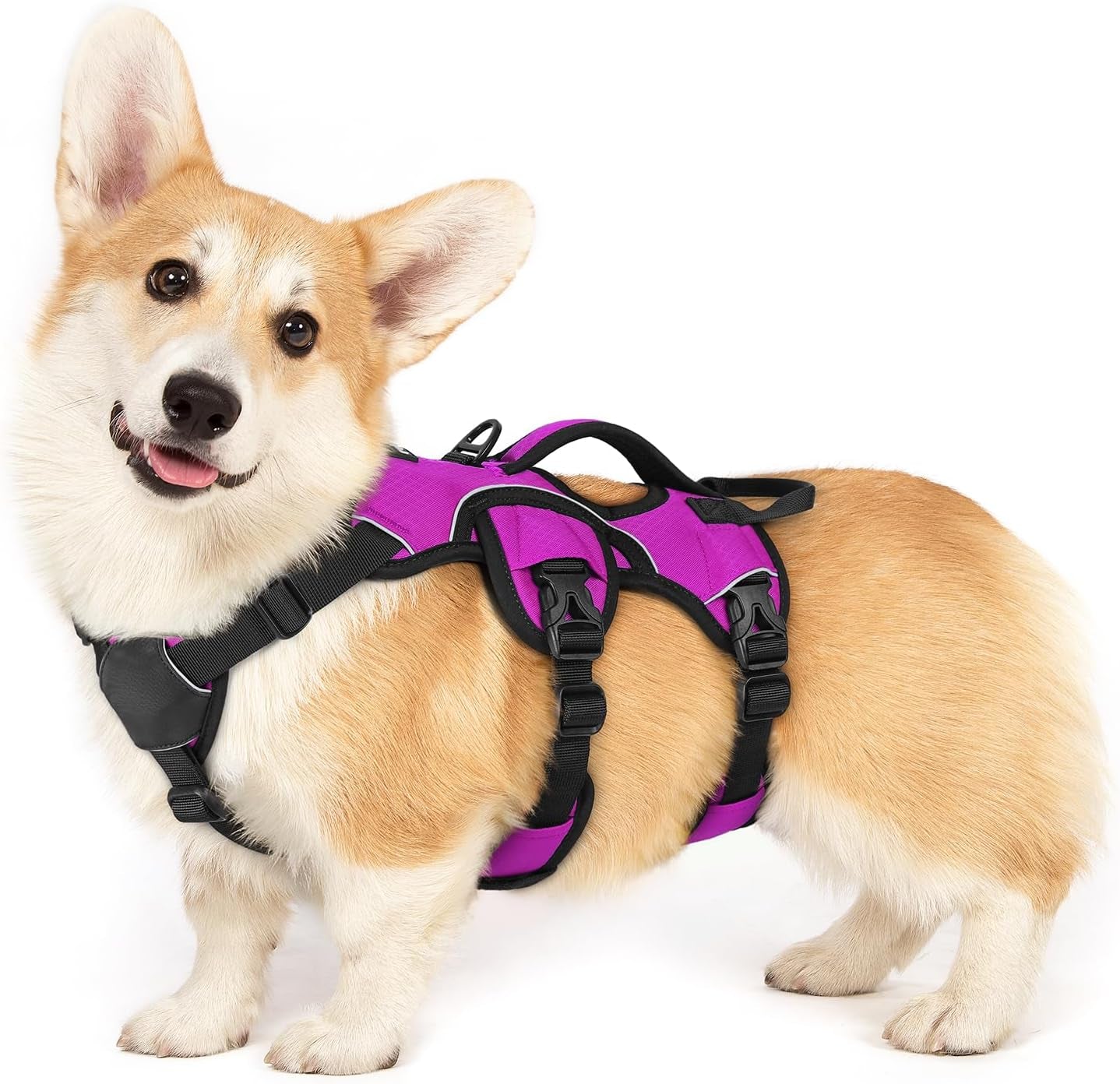 rabbitgoo-escape-proof-dog-harness-for-large-no-pull-with-lift-handle-no-escape-full-soft-padded-reflective-adjustable-vest-leash-clip-for-walking-hiking-training-black-large