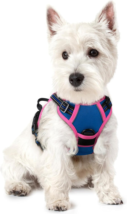 Rabbitgoo Dog Harness, No Pull for Large Dogs with 2 Leash Clips, Pet Vest | No Choke with Handle, Adjustable Soft Padded, Reflective, Easy Control for Walking, Black, Large74