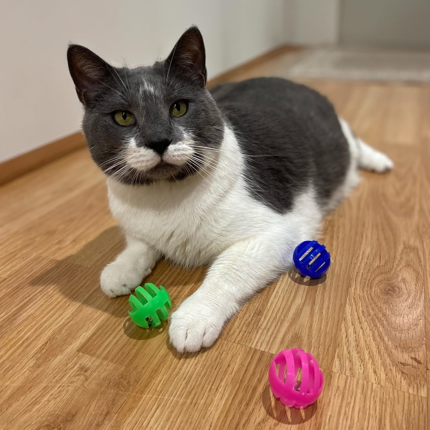 spot-slotted-balls-cat-toy-interactive-cat-toys-for-indoor-cats-to-chase-hunt-and-stimulate-jingle-bell-inside-for-sound-when-batted-around-safe-and-non-toxic-1-5-assorted-4-pack
