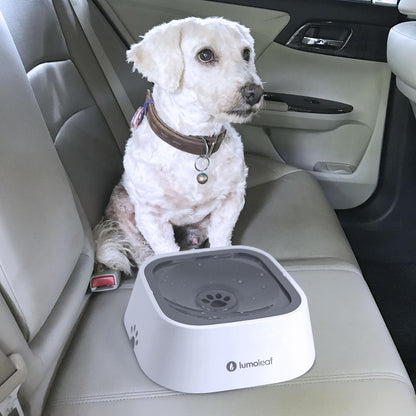 Lumoleaf No Spill Water Bowl for Dogs, Slow Feeder for Messy Drinkers, Drip-Free, Splash-Proof Design (Grey, 35Oz)5