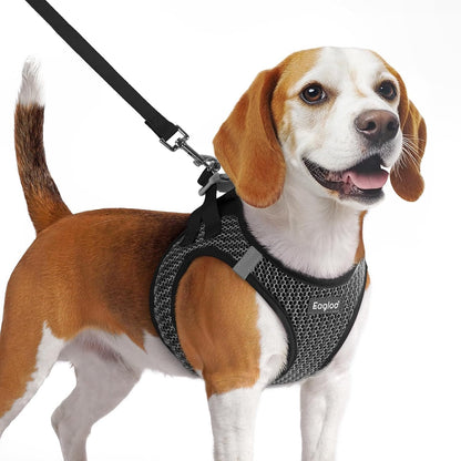 Eagloo Small Dog Harness and Leash Set, Step in Small Sized Puppy Pet Vest | Light, Soft, Breathable Air Mesh, Easy on and off with Hook & Loop, Reflective for Safe Walking, Pink, S17