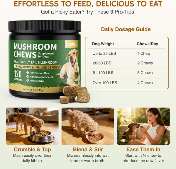 Turkey Tail Mushroom for Dogs,Senior Dog Supplement for Lumps, Bumps & Lipoma,Soft Chews with Reishi, Maitake, Turmeric & Astragalus,Supports Immune Health,Natural Chicken Flavor, 120 Count6