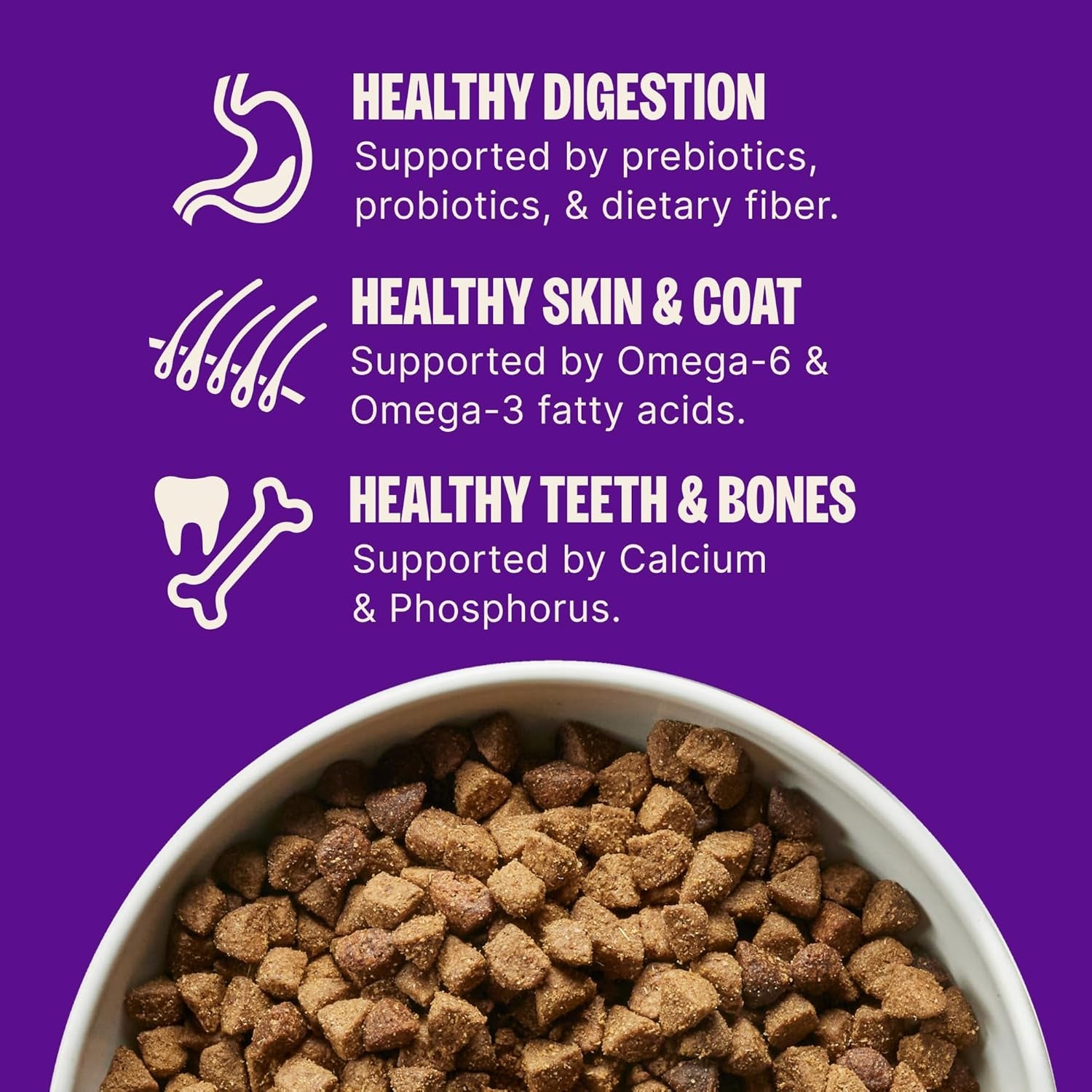 wellness-complete-health-small-breed-adult-dry-dog-food-wholesome-grain-kibble-natural-turkey-and-oatmeal-recipe-4-lb-bag