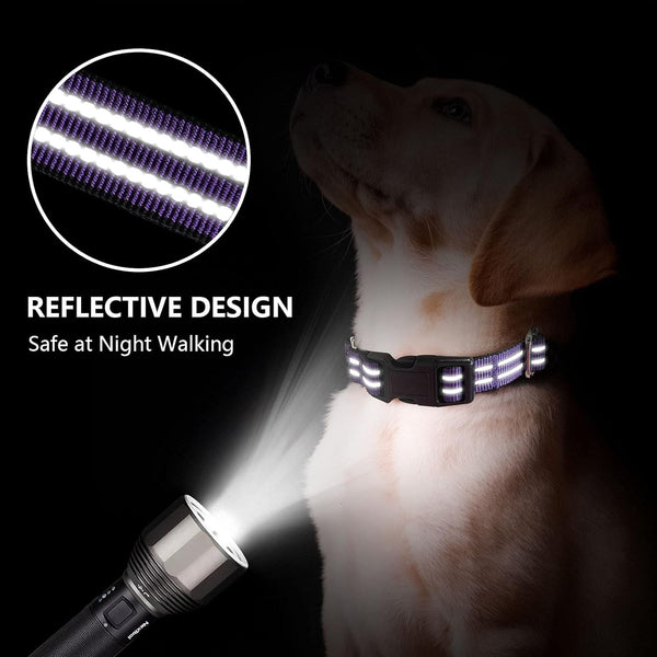 Martingale Collars for Dogs, Reflective Escape Proof Training Dog Collars with Quick Release Buckle,Adjustable No Slip Nylon Dog Collar for Medium Pets2