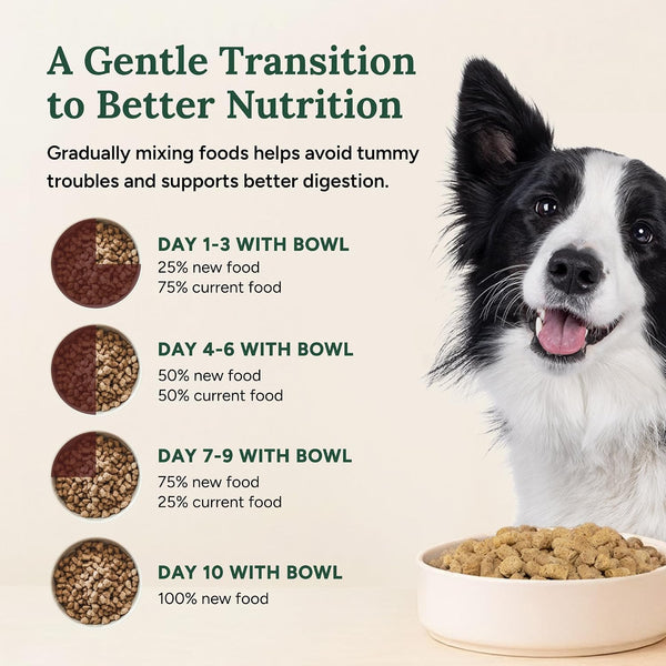 360 Pet Nutrition Freeze-Dried Raw Dog Food – Beef Recipe with Liver & Organs, High Protein with Omega-3S, Fruits, Veggies & Superfoods, Grain-Free, No Fillers, 1 Lb – Made in USA7