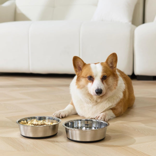 Dog Bowls Durable Non-Slip Stainless Steel Dog Bowls 2-Pack Holds 3 Cups | Basic Bowls for Dogs with Rubber Base for Dry Food, Wet Food and Water6