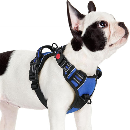 Rabbitgoo Dog Harness Medium Sized, Updated Easy on & off with 3 Buckles | No Pull No Choke, Walking with 2 Clips and Handle, Adjustable Soft Reflective, Blue, Medium34