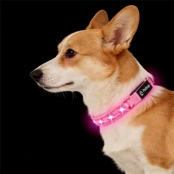 Super Bright LED Dog Collar, Waterproof Light up Collars(Green, Medium) | Lighted Dog Collar with Adjustable Fit, Soft Nylon Comfort, USB-C Rechargeable, Glow in the Dark Visibility for Night Walks13